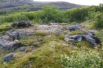 hkb_1-448_oscarskapellen_2019_039