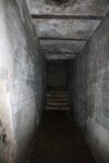 hkb_1-448_vardoe-renoesund_2019_048