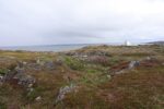 hkb_1-448_vardoe-renoesund_2025_003