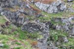 hkb_1-448_vardoe-renoesund_2025_013