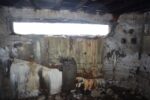 hkb_1-448_vardoe-renoesund_2025_044