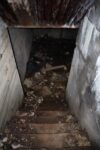 hkb_1-448_vardoe-renoesund_2025_049