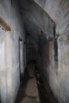 hkb_1-448_vardoe-renoesund_2025_068