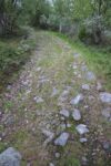 hkb_1-478_buholmen_2023_002