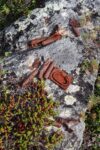 hkb_1-478_buholmen_2023_010