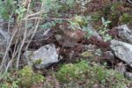 hkb_1-478_buholmen_2023_014