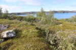 hkb_1-478_buholmen_2023_018