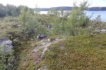 hkb_1-478_buholmen_2023_025