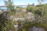 hkb_1-478_buholmen_2023_026