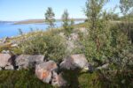 hkb_1-478_buholmen_2023_029