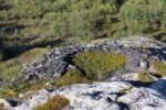 hkb_1-478_buholmen_2023_037