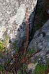 hkb_1-478_buholmen_2023_058