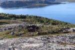 hkb_1-478_buholmen_2023_071