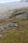 hkb_1-480_smalfjordnes_2023_001