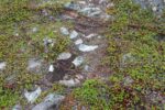 hkb_1-480_smalfjordnes_2023_002