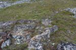 hkb_1-480_smalfjordnes_2023_003