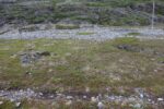 hkb_1-480_smalfjordnes_2023_008