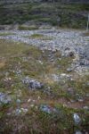 hkb_1-480_smalfjordnes_2023_009