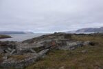 hkb_1-480_smalfjordnes_2023_011