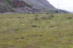 hkb_1-480_smalfjordnes_2023_015