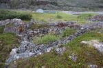 hkb_1-480_smalfjordnes_2023_027