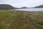 hkb_1-480_smalfjordnes_2023_041