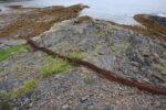 hkb_1-480_smalfjordnes_2023_055