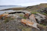 hkb_1-480_smalfjordnes_2023_056
