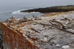 hkb_1-480_smalfjordnes_2023_070