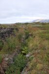hkb_1-480_smalfjordnes_2023_081