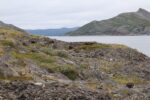hkb_1-480_smalfjordnes_2023_092