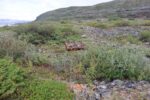hkb_1-480_smalfjordnes_2023_093