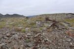hkb_1-480_smalfjordnes_2023_105