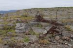 hkb_1-480_smalfjordnes_2023_106