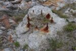 hkb_1-480_smalfjordnes_2023_118