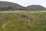 hkb_1-480_smalfjordnes_2023_120