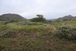 hkb_1-480_smalfjordnes_2023_121