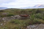 hkb_1-480_smalfjordnes_2023_129