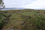 hkb_1-480_smalfjordnes_2023_132