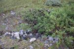 hkb_1-480_smalfjordnes_2023_133