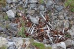 hkb_1-480_smalfjordnes_2023_146