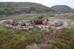 hkb_1-480_smalfjordnes_2023_151