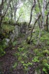 hkb_1-974_laukvik_2025_004