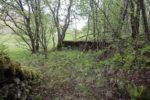 hkb_1-974_laukvik_2025_007