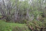 hkb_1-974_laukvik_2025_074