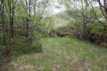 hkb_1-974_laukvik_2025_076