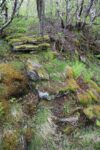 hkb_1-974_laukvik_2025_088
