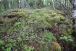 hkb_1-974_laukvik_2025_093