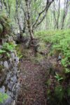 hkb_1-974_laukvik_2025_103