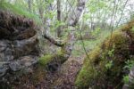 hkb_1-974_laukvik_2025_127